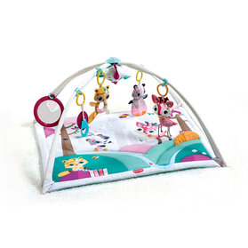TINY LOVE Deka na hranie Gymini Tiny Princess Tales, 0m+